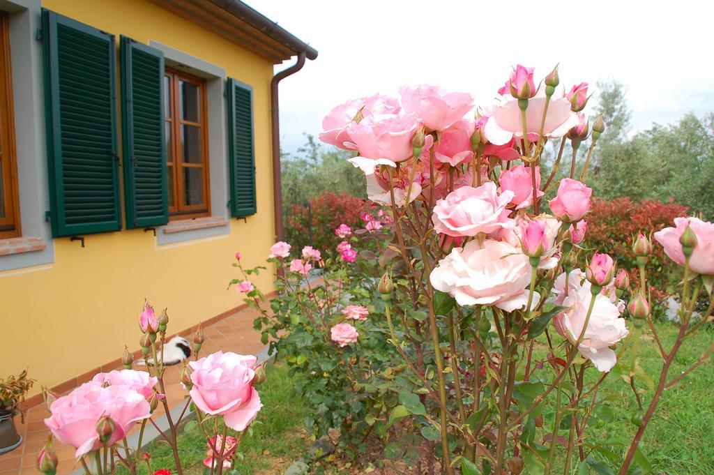 Il Podere Di Giustina Montecarlo Exterior photo